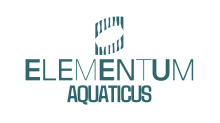elementum